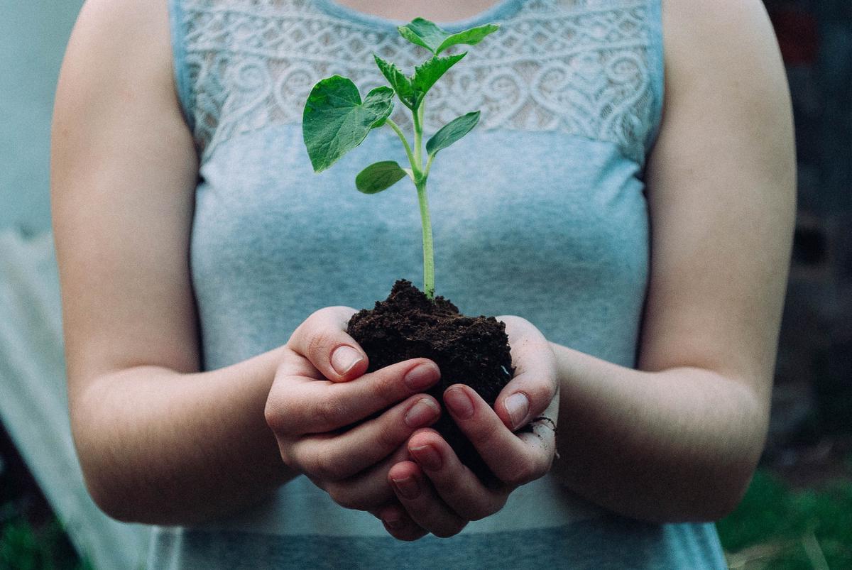 An image of a person holding a seedling in their hand, symbolizing the growth and potential of investing.